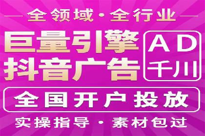 百度竞价与搜索引擎优化（SEO）结合的经典案例